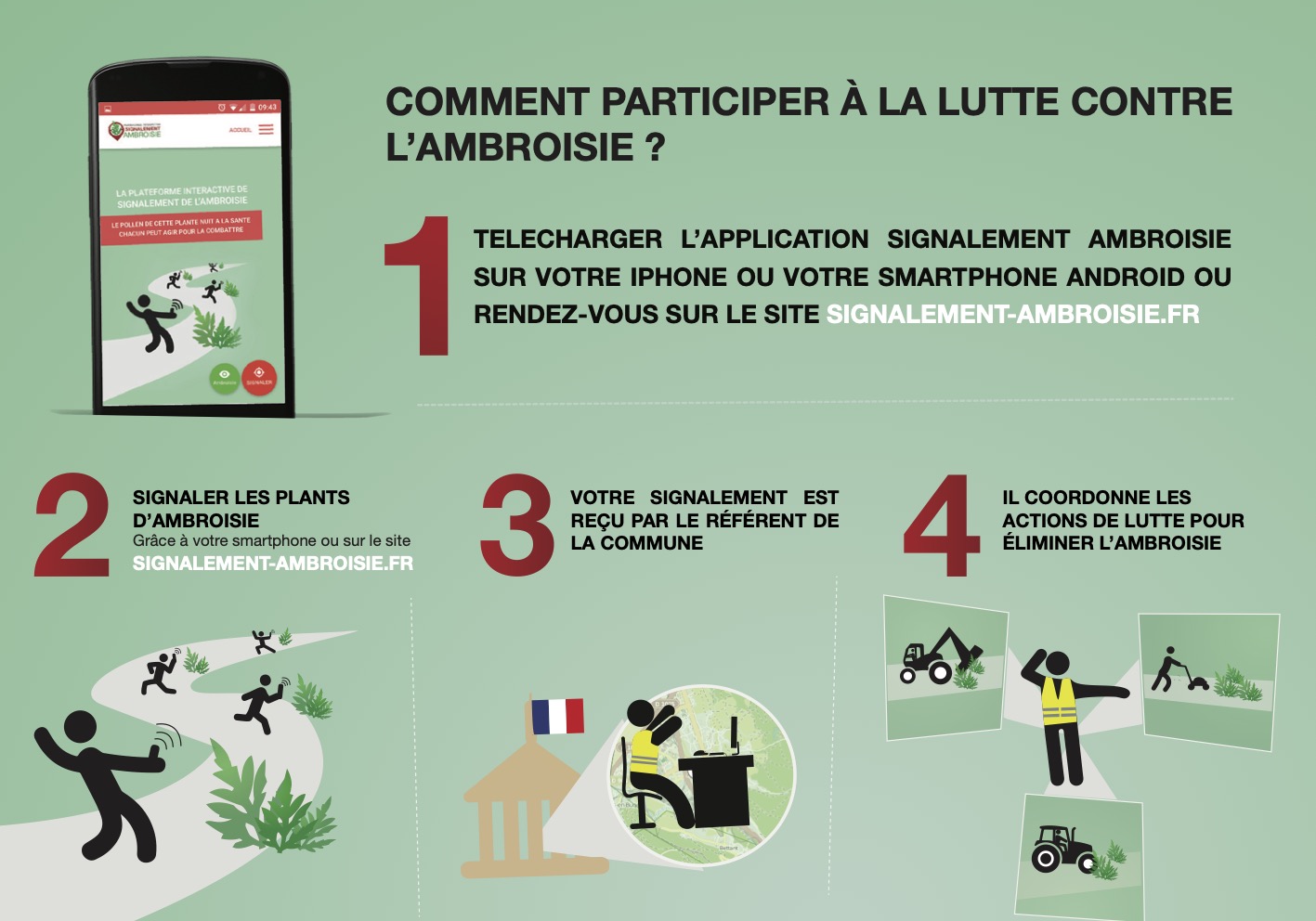 L'ambroisie est arrivée sur la commune
